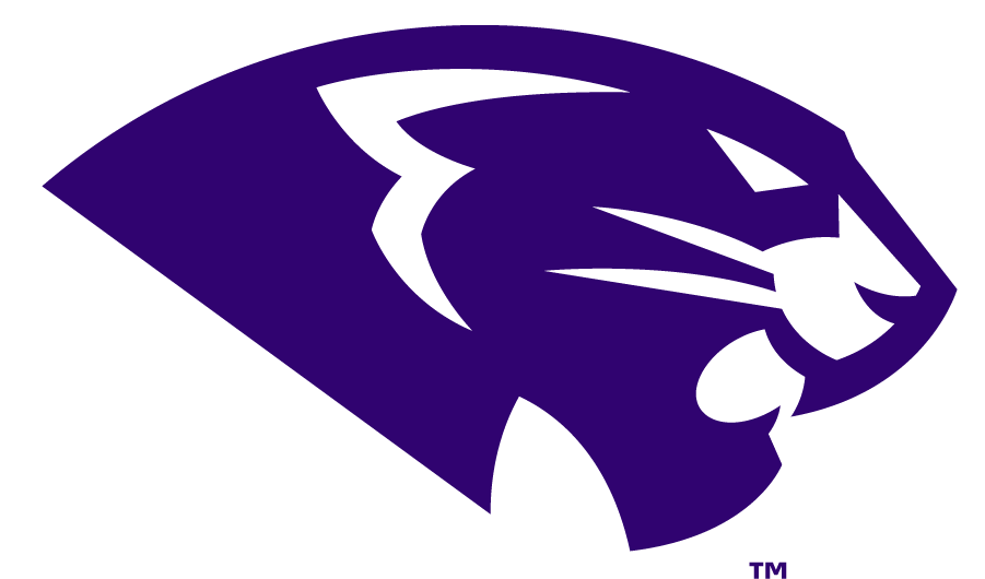 High Point Panthers 2017-Pres Secondary Logo v2 t shirts iron on transfers
